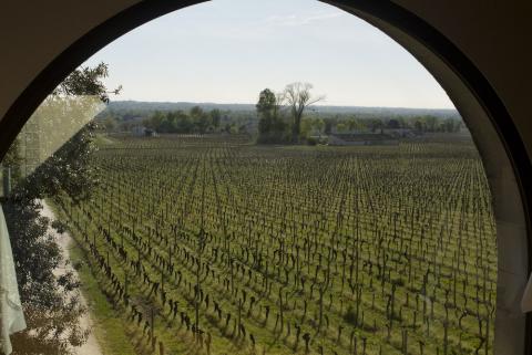From the tasting room in St.Emilion