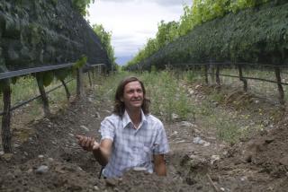 A hole of his own making: Matias Michelini in Finca Sophenia&amp;#039;s Tupungato vineyards