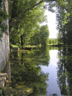 In search of some wine in the quiet heart...
