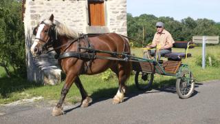 Cahorse, Cahorse, my kingdom for Cahorse
