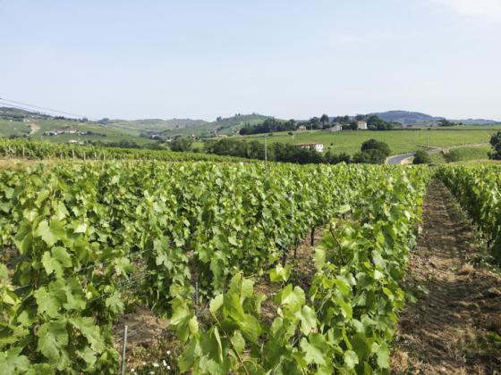 Fleurie