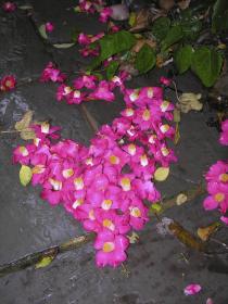say it with flowers