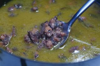 Krajančić octopus
