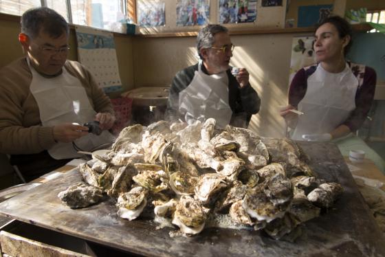 Oyster Central