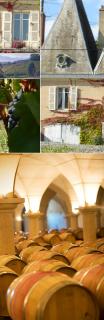 Madiran, Wine Society