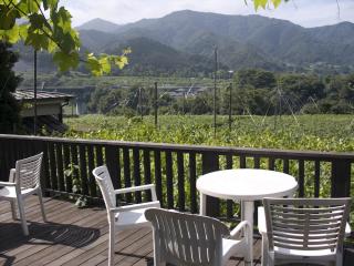 Yamanashi: a view from the terrace