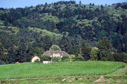 Clos Windsbuhl