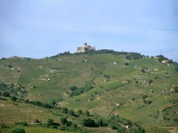 Rias Baixas, Galicia ©static.howstuffworks.com